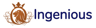 Ingeniousgen.com | Partner In IT Solutions (Software Applications, Web Applications, Mobile Applications)