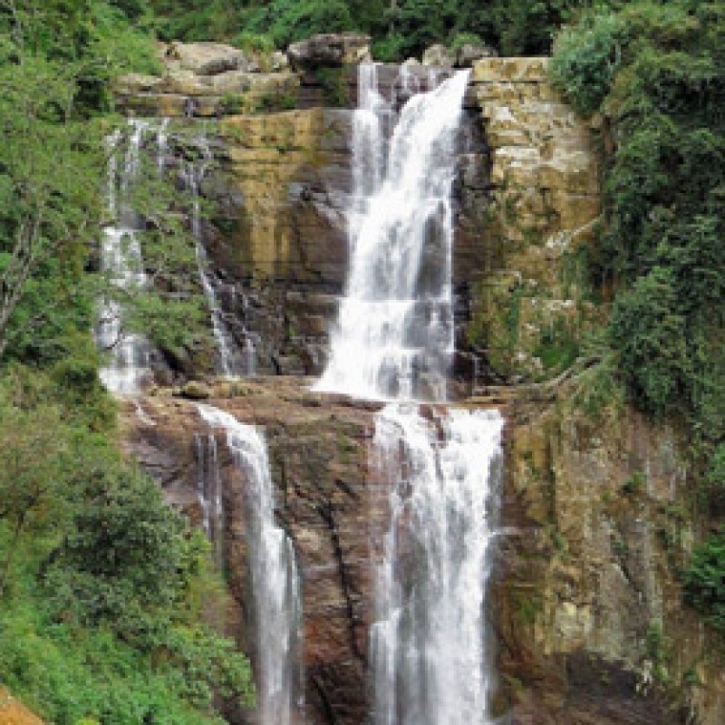 Day 5 & 6 - Nuwaraeliya