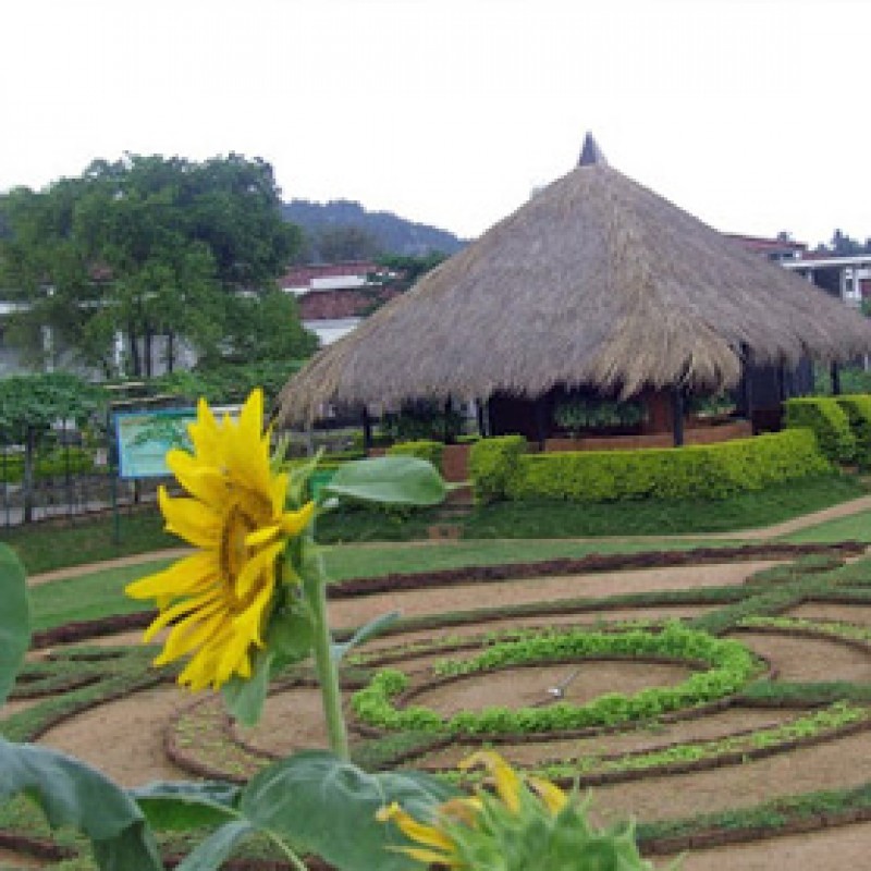Day 5 - Gannoruwa (By Helicopter)