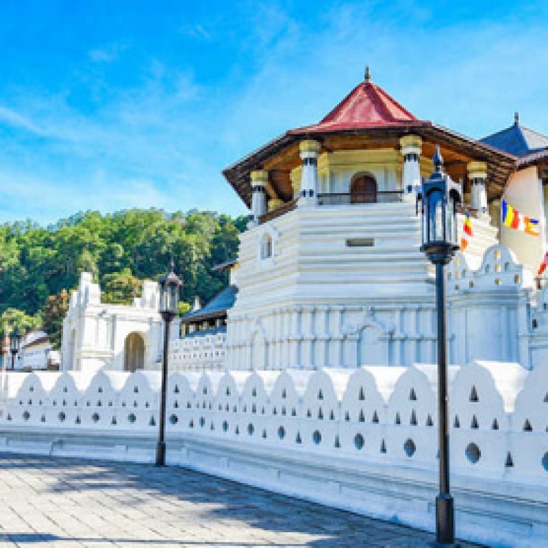 Day 6 - Kandy City Tour (By Car)