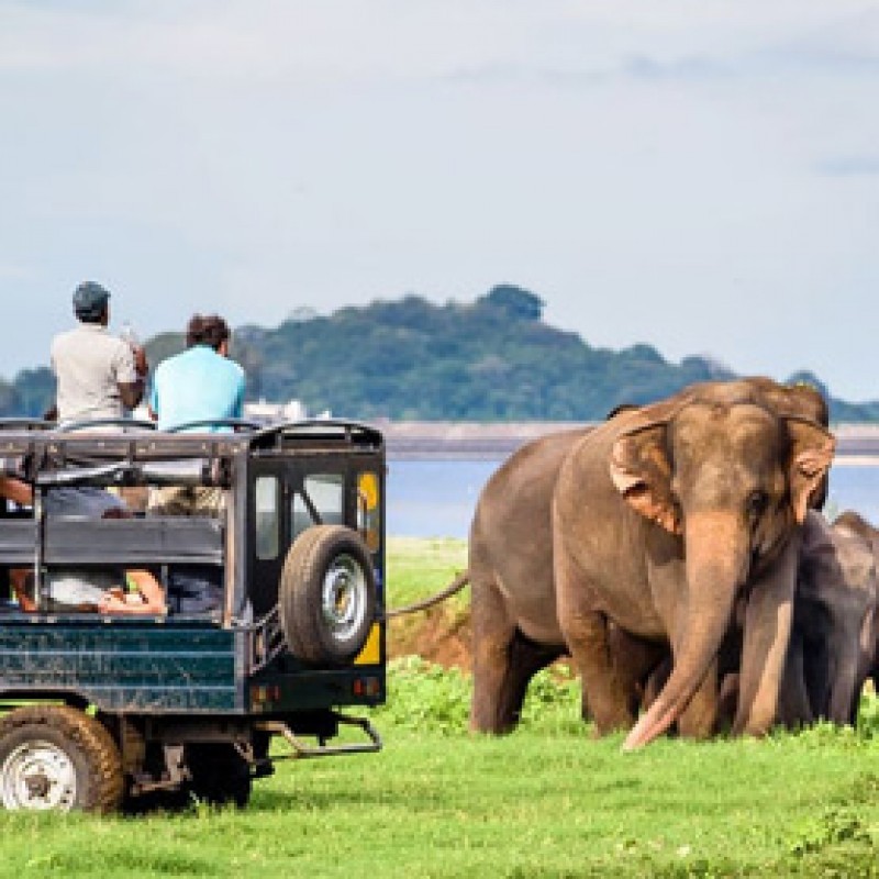 Day 05 - Yala National park